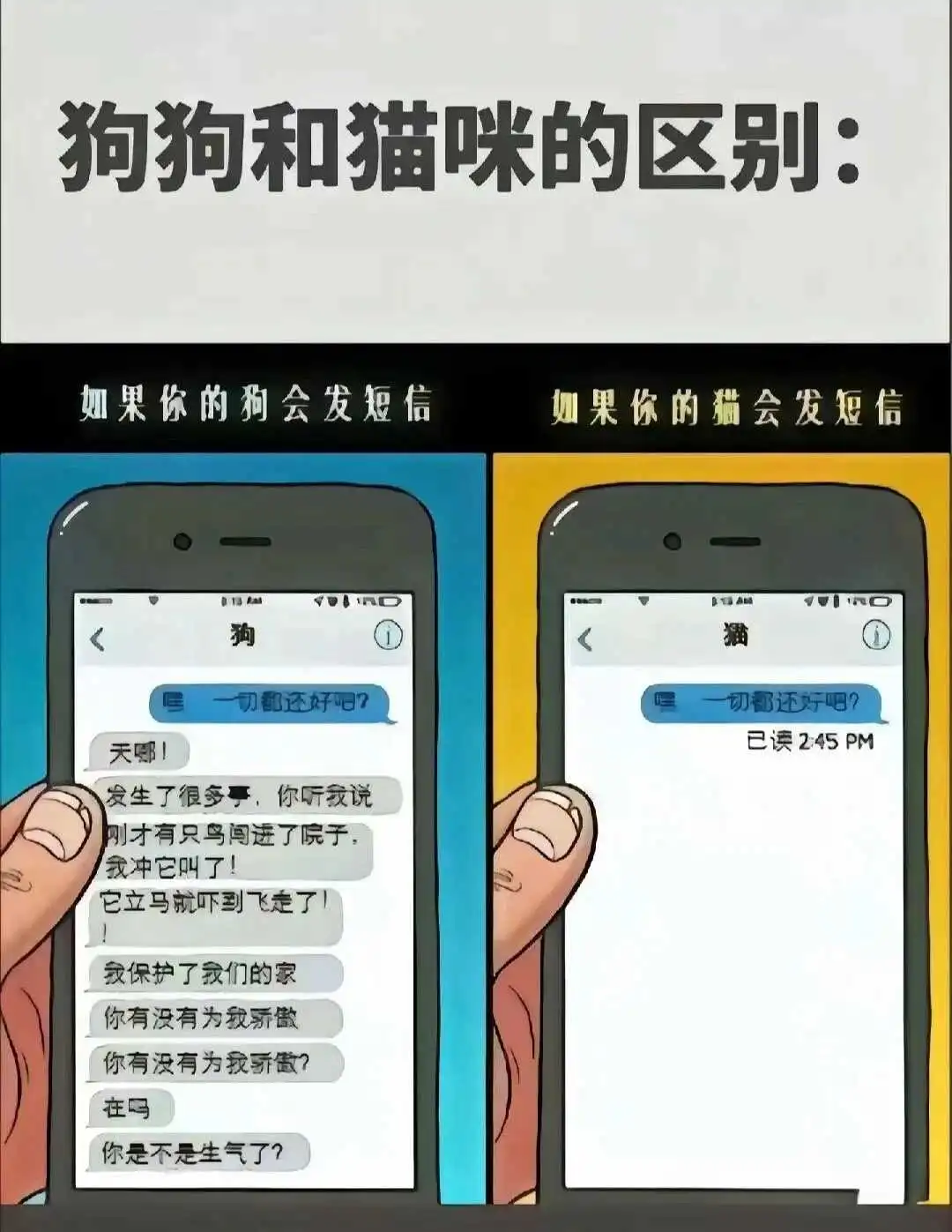 西檬之家-字母圈新人快速入门指南，从BDSM术语到实践规范