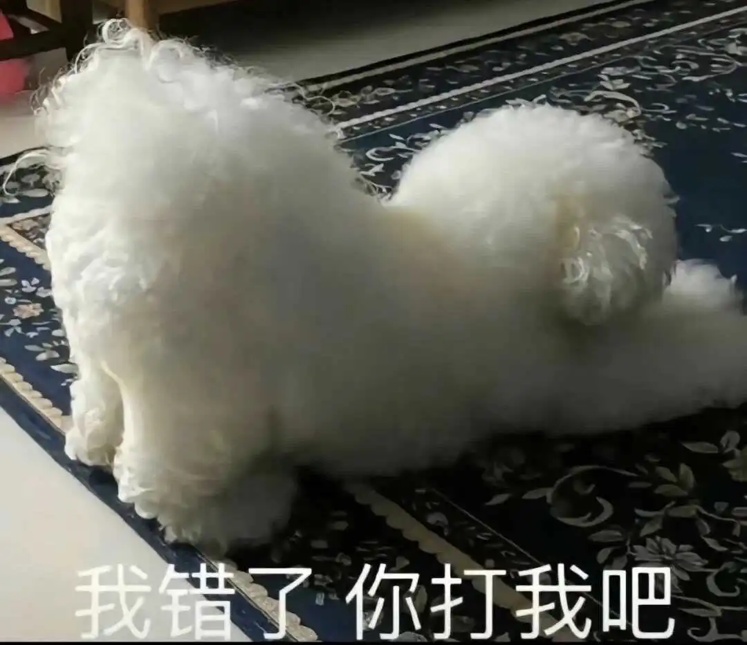 西檬之家-字母圈管教入门：从术语到安全的权力交换