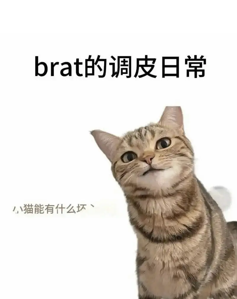 西檬之家-字母圈的DOM是什么意思？