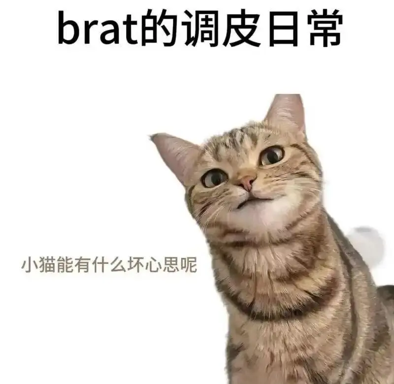 西檬之家-Ddlg是什么？你的字母圈属性是什么？