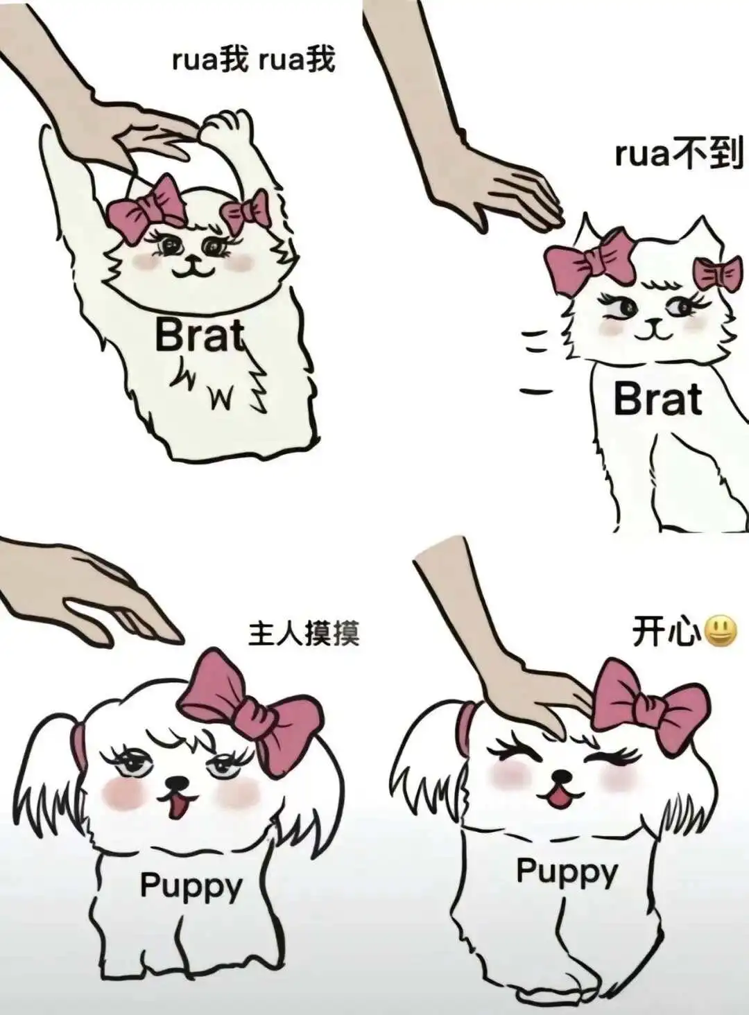 西檬之家-字母圈的DS关系是什么