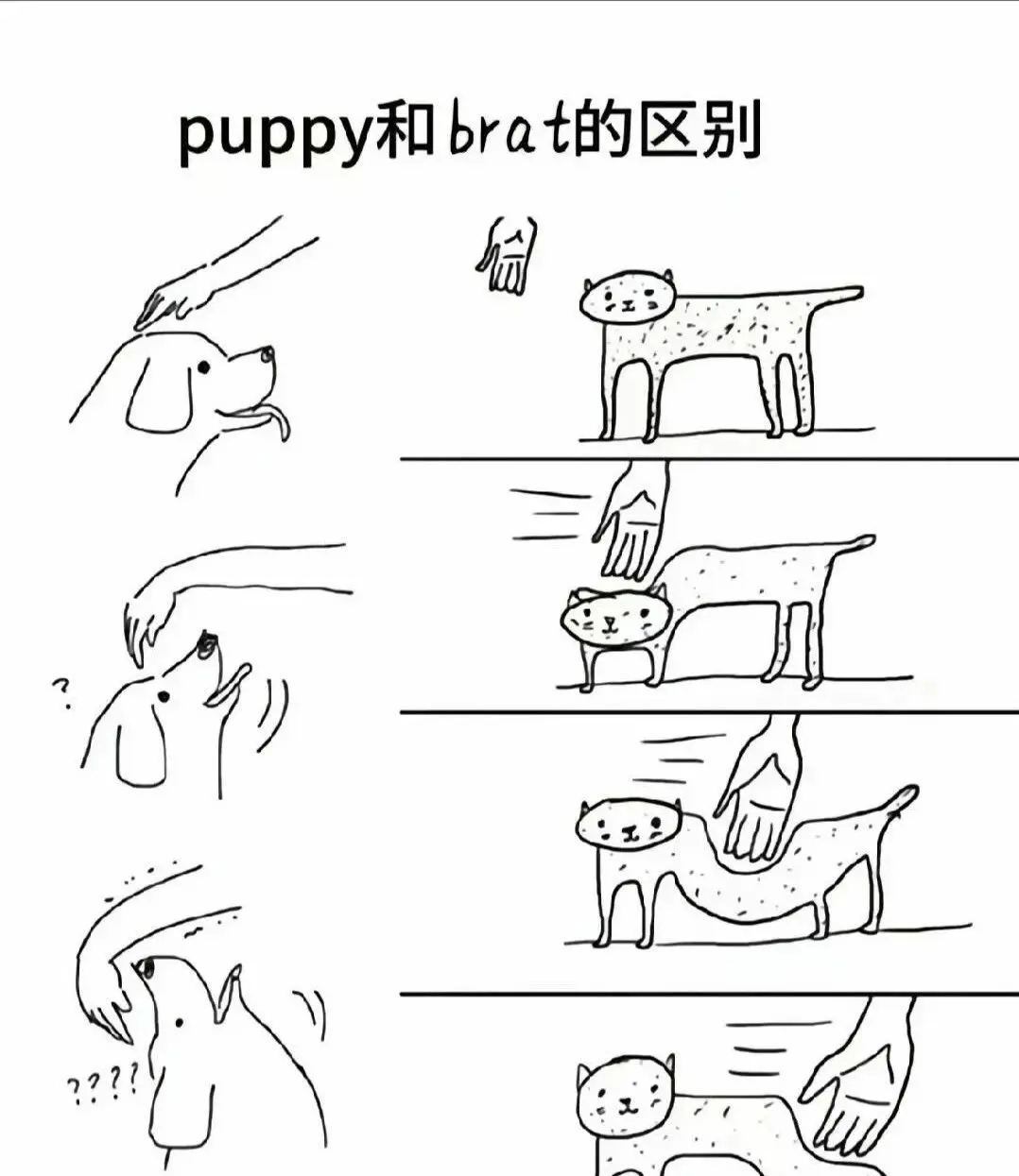 S倾向 - 微信图片_2025-11-13_180940_765
