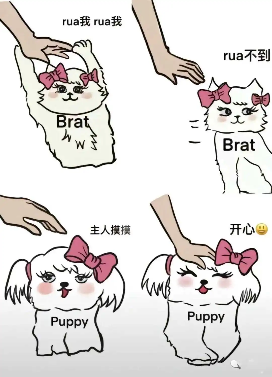 k9是什么 - 2023_12_05_21_27_IMG_9363